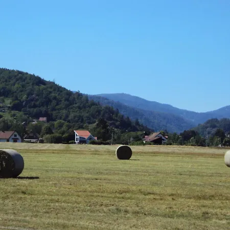 J'irai Chez Vous * Fellering