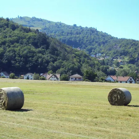 J'irai Chez Vous Fellering
