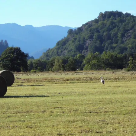 Dom wakacyjny J'irai Chez Vous *