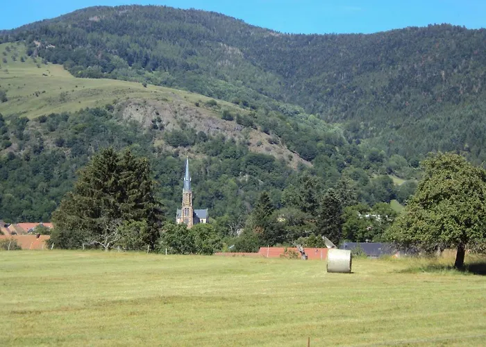 J'irai Chez Vous Fellering